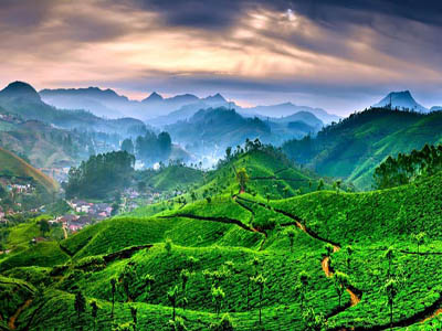 4-day-munnar-tour-package