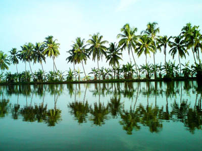 Alleppey Backwaters