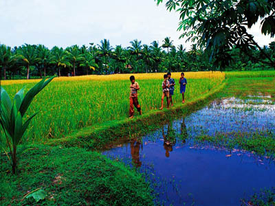 Kumarakom