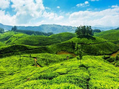 munnar package