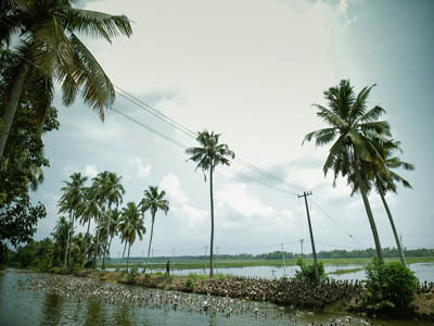 Kumarakom Backwaters