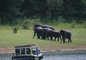 thekkady boating