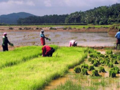 Anakara Thekkady