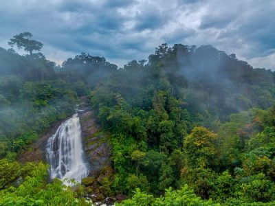 Pandikuzhi Thekkady