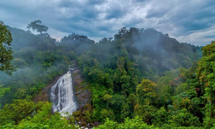 Pandikuzhi Thekkady