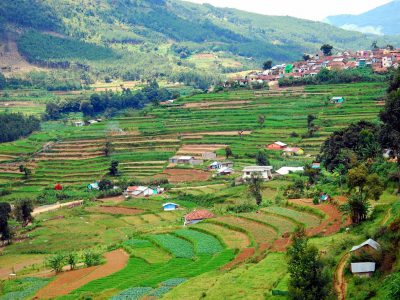 vattavada in munnar