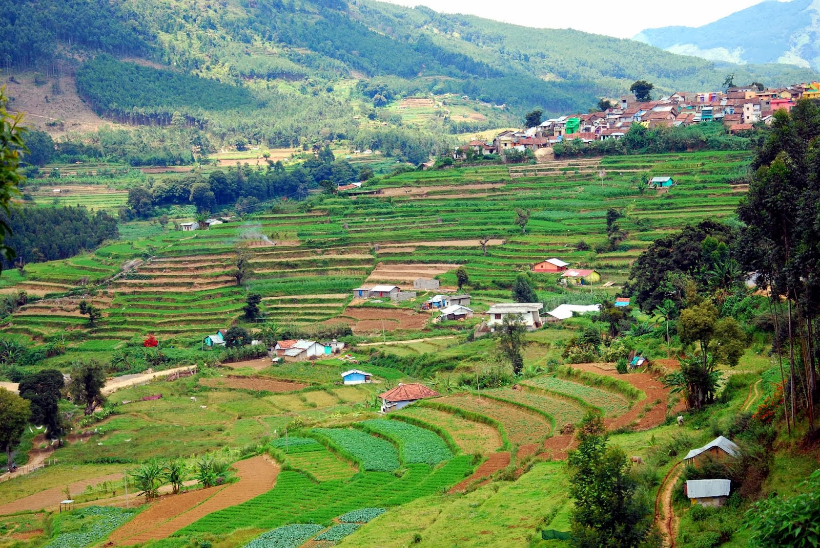 vattavada in munnar