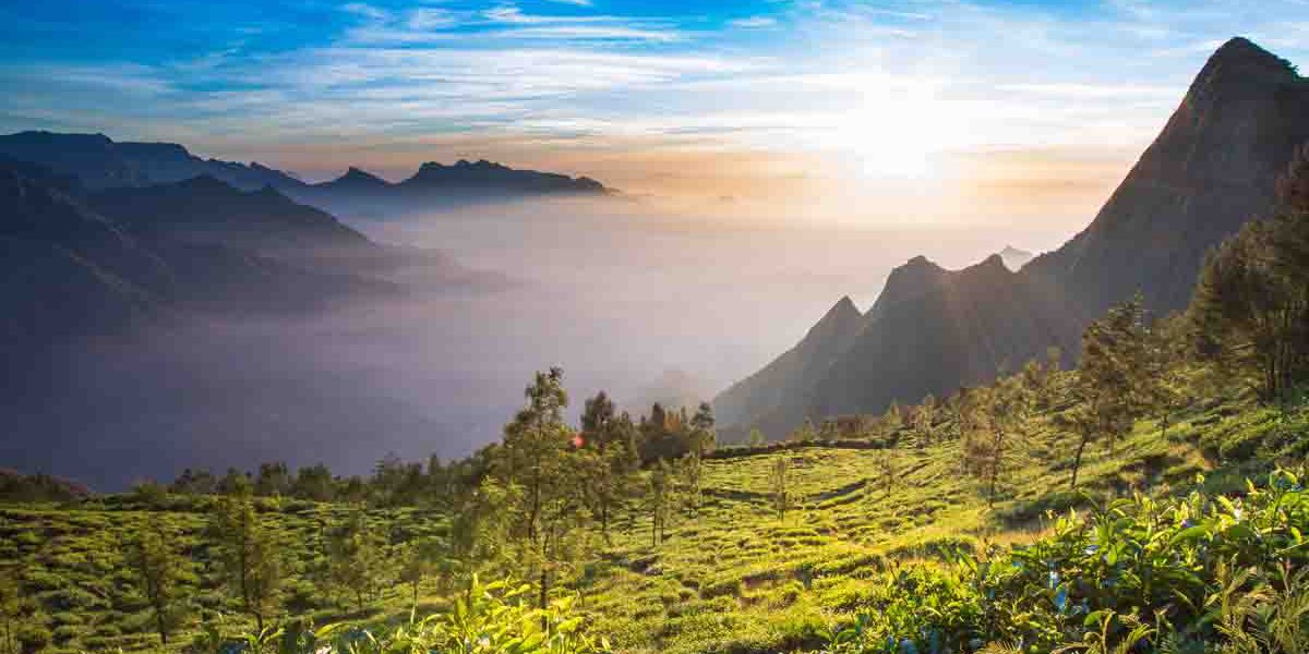 kolukkumalai- Munnar