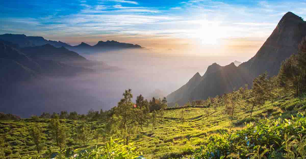 kolukkumalai- Munnar