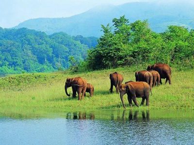 Periyar Wild Life Sanctuary & Thekkady