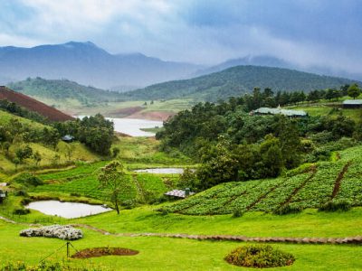 Mysore Ooty Package