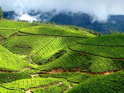 munnar