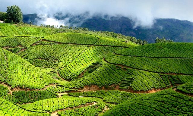 munnar