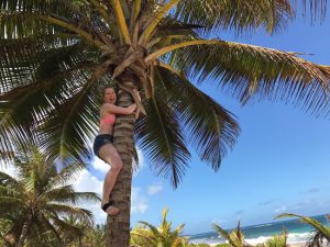 climbing on coconut tree