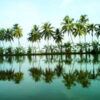 Alleppey Backwaters