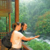Magical Kerala Honeymoon - 7 days