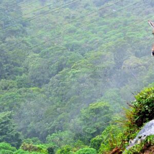 Rajamalai in Munnar