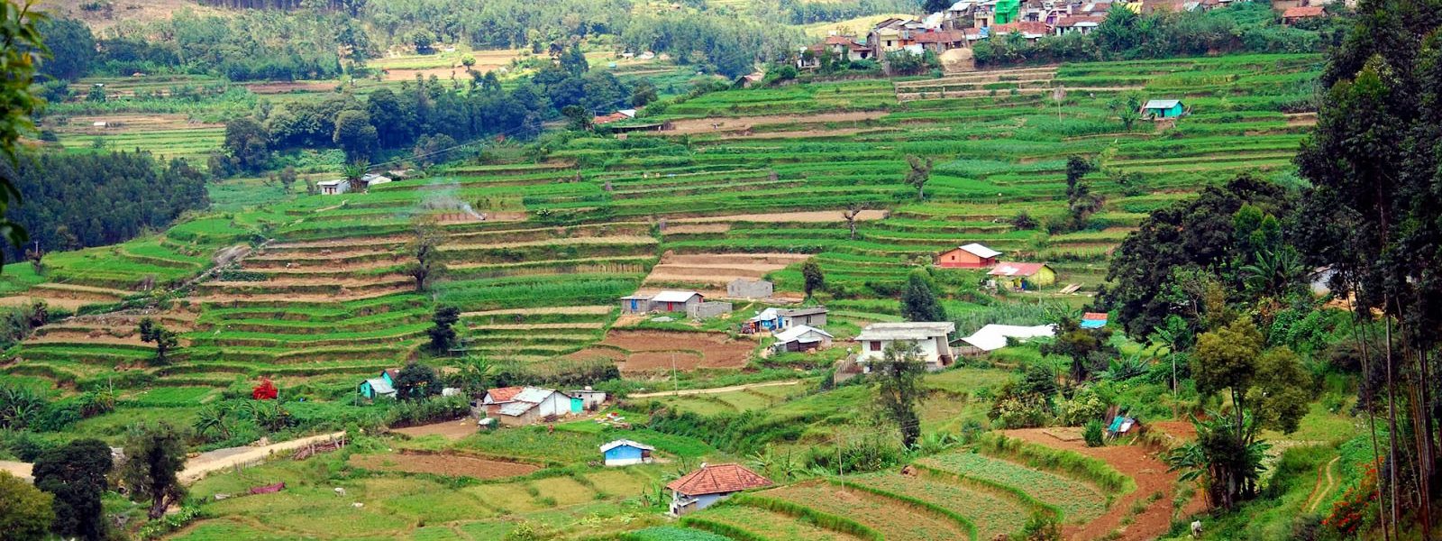 vattavada in munnar