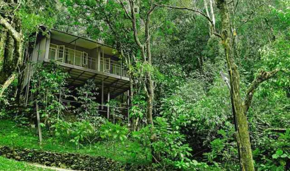 wayanad wild cottage