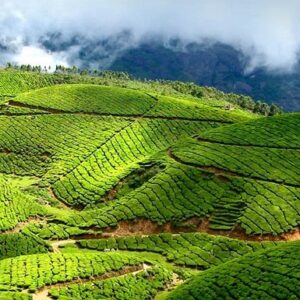 munnar