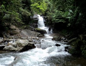 MEEN VALLAM WATERFALLS