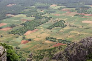Ramakkalmedu in Idukki