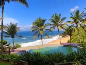 Delightful Kerala Tour - 8 Days