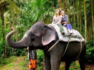 Magical Kerala Tour - 8 days