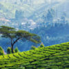 Kerala Tour Packages from Delhi