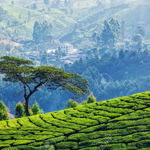hyderabad to kerala tour packages by train
