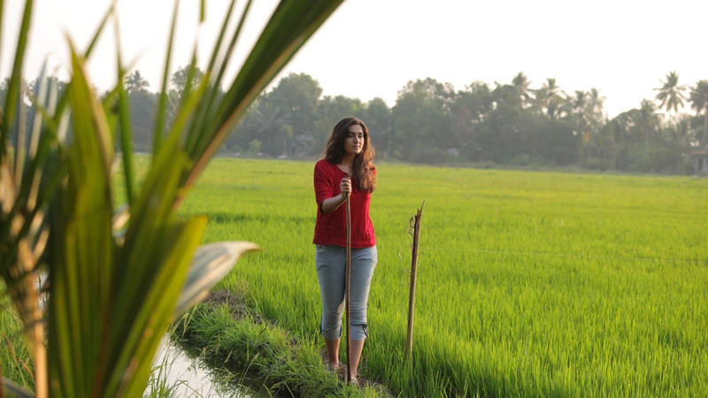 Top 10 Reasons to Visit Kerala in 2025